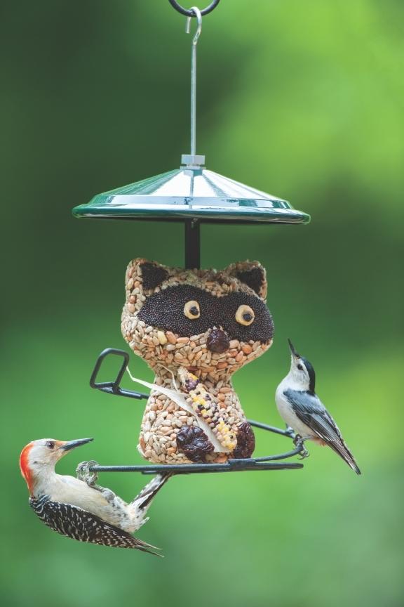 Nuthatch and woodpecker