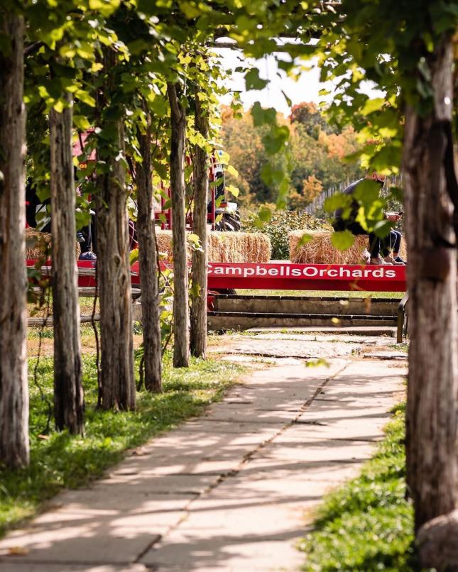 Campbell's Path